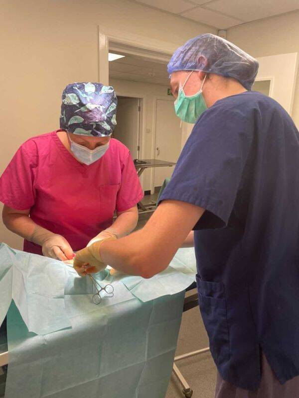 Observation & Research Internship Placements in Scotland Go Overseas